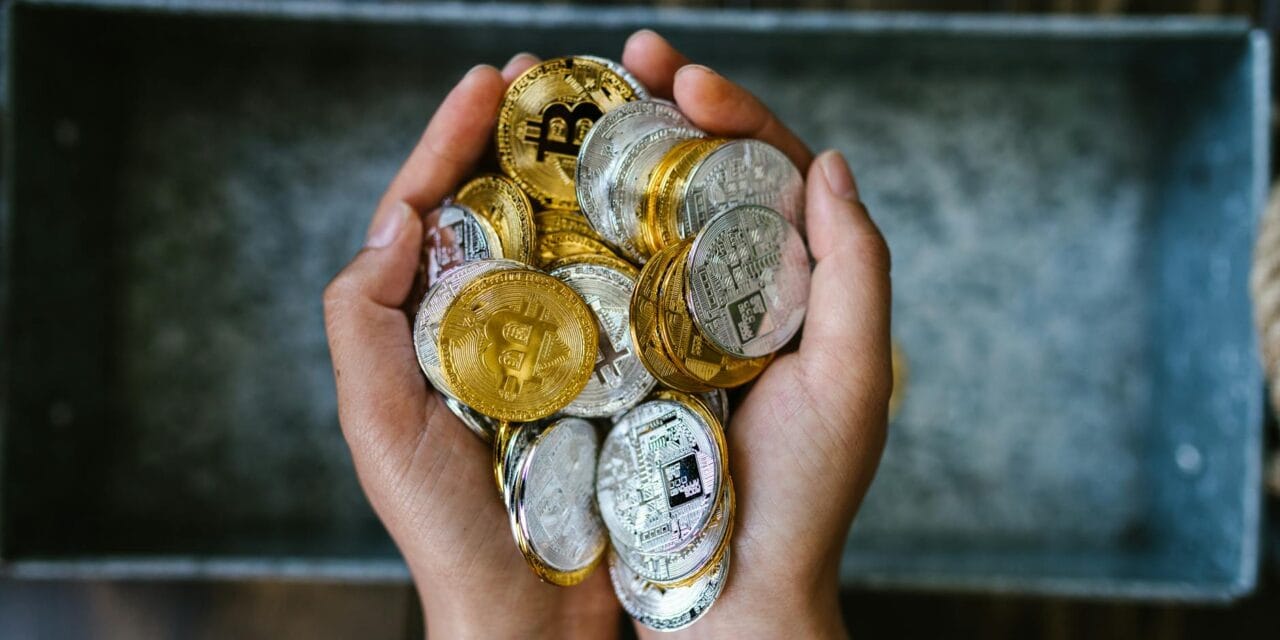 Bitcoiners 101: Their Ironclad Love For Bitcoin Explained!